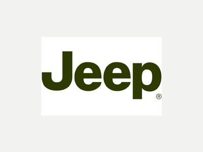 Camionetas y Utilitarios Usado Jeep Sport 2017